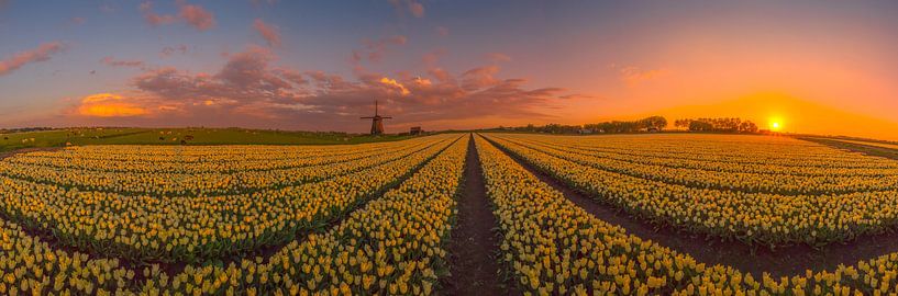 Panorama Poldermolen M by peterheinspictures
