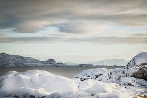 Svinøya, Lofoten – Ruhe und Kraft der Küste