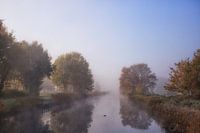 Brume matinale en automne