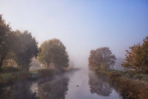 Ochtendnevel in de herfst