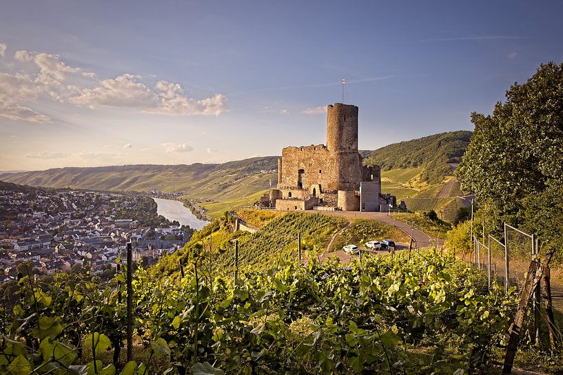 Burg Landshut par Rob Boon