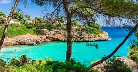 Belle plage de Cala Anguial, bord de mer idyllique à Majorque sur Alex Winter