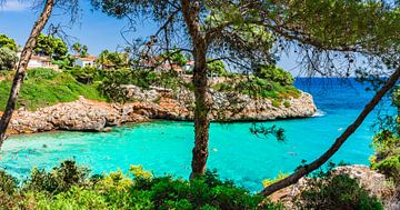 Prachtig strand van Cala Anguial, idyllische badplaats op Mallorca van Alex Winter