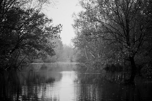 friesland de deelen in zwart en wit