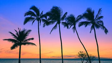 Zonsondergang op Maui, Hawaii van Henk Meijer Photography