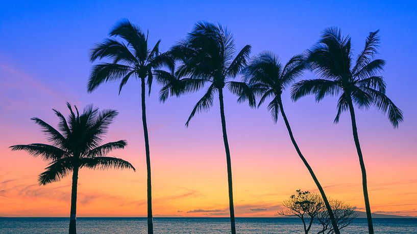 Coucher de soleil sur Maui, Hawaii par Henk Meijer Photography