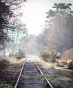 Borkensebaan in de winter van Hans Monasso thumbnail