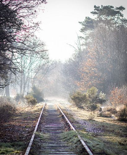 Borkensebaan in de winter