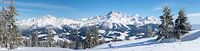 Bergpanorama "Dachstein in de Winter" van Coen Weesjes thumbnail