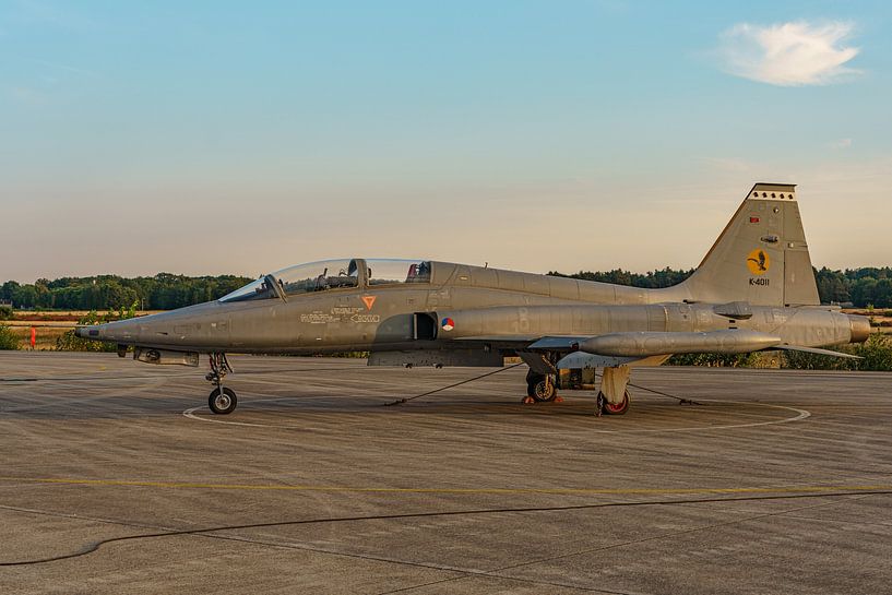 Royal Air Force Northrop NF-5B Freedom Fighter. von Jaap van den Berg