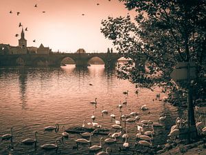 Le pont Charles à Prague