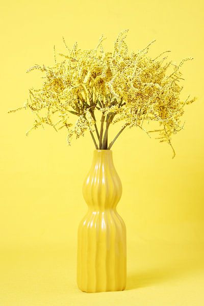 Farben 04 Gelb von Natasja van Heesch