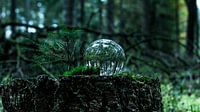 lensball