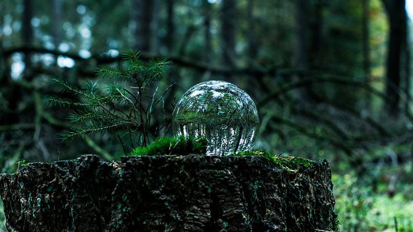 lensball par b.dutch