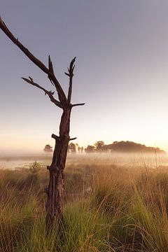 Strabrechtse Heide 213 von Deshamer