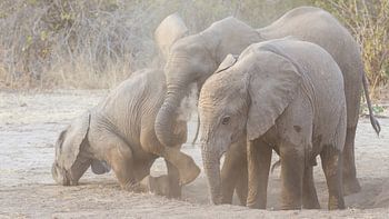 Iedereen kent wel zo iemand. 