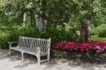A bench in a park by Claude Laprise