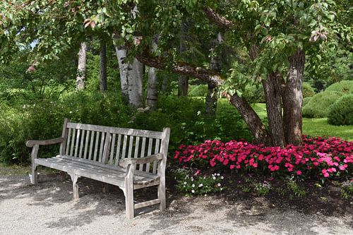 Een bankje ineen park