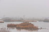 Windmolens van de Kinderdijk in de mist van Brian Morgan thumbnail