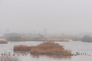 Windmolens van de Kinderdijk in de mist van Brian Morgan