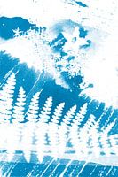Abstracte blauwe varens