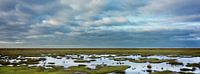 Panorama van een kwelder landschap in Groningen