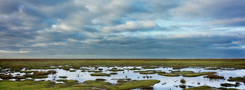 Panorama of a salt marsh landscape in Groningen by Bo Scheeringa Photography