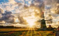 zonsondergang bij de drie molens