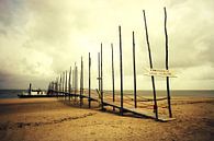 waddenveer Texel-Vlieland van Els Fonteine thumbnail