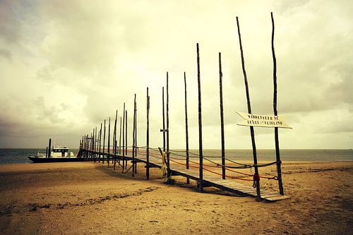 waddenveer Texel-Vlieland