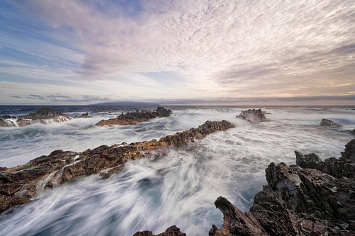 Wild coast in the evening light