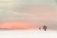 Magic Sunset by Niels den Otter thumbnail