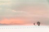 Magic Sunset