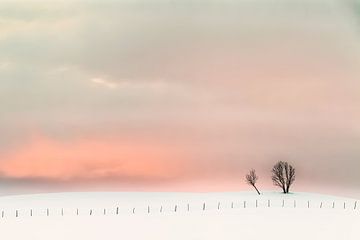 Magic Sunset by Niels den Otter