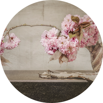 Balanceren met roze bloesem. van Alie Ekkelenkamp