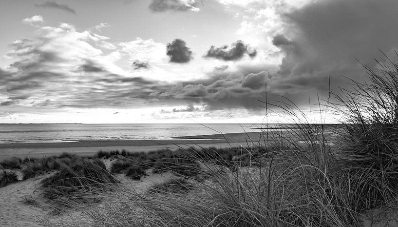 Strand en duinen in zwart-wit van Marjolein van Middelkoop