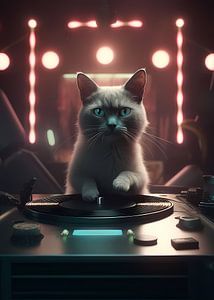 Deejay Cat Club Disco Poster