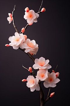 Peach blossom by Bert Nijholt