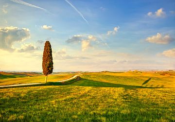 Toscaans landschap, cipres en een weg van Stefano Orazzini