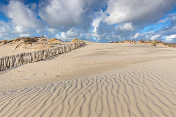 Dünen von Kijkduin, Den Haag, Niederlände