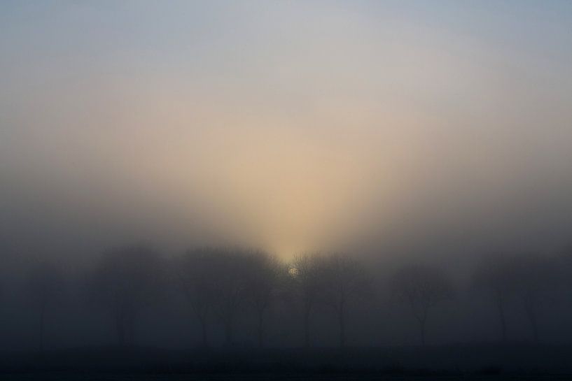 Gerade aufgehende Sonne durch Nebel und Bäume von Rene  den Engelsman