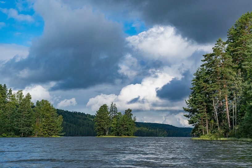 Vue sur un lac avec des petites îles et des pins en Suède par Sjoerd van der Wal Photographie