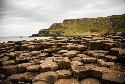 The Way of the Giant