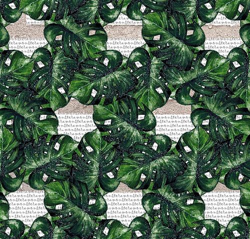 Monstera motif des feuilles