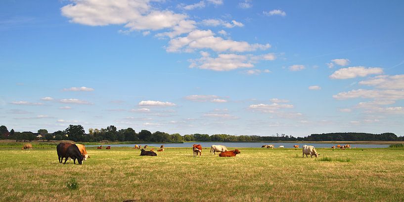 plattelandsidylle van Steffi Hommel