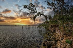 Sonnenuntergang in Florida. von Tilly Meijer
