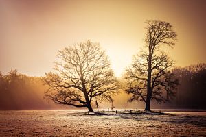 Lever de soleil froid