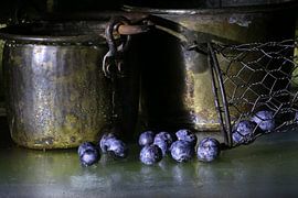 Blueberries