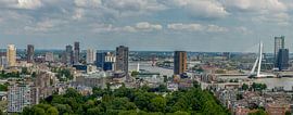 Rotterdam vanaf de Euromast