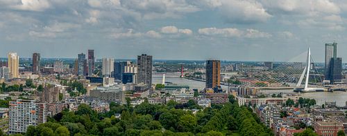 Rotterdam vanaf de Euromast